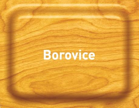 Borovice